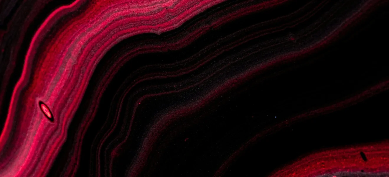 portfolio3